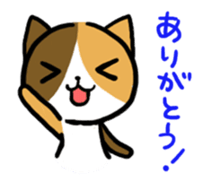 Calico cat sticker #1206226