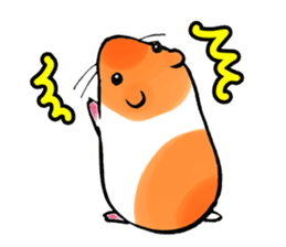 Assorted Hamsters sticker #1208698