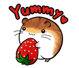 Assorted Hamsters sticker #1208702