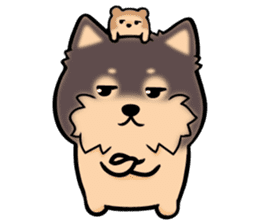 Pan-chan is lovely pomeranian sticker #1209212