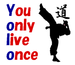 The Karate fighter ver.English sticker #1209937