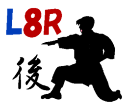 The Karate fighter ver.English sticker #1209945