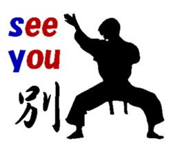 The Karate fighter ver.English sticker #1209948