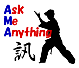 The Karate fighter ver.English sticker #1209952