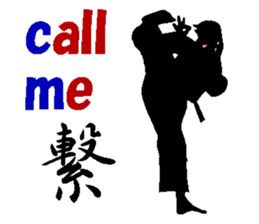 The Karate fighter ver.English sticker #1209959