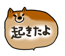 Shiballoon sticker #1210202