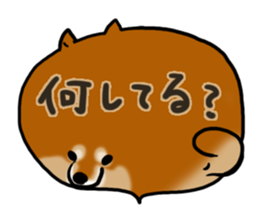 Shiballoon sticker #1210227