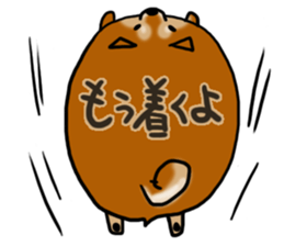 Shiballoon sticker #1210229