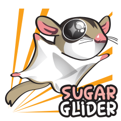 Sugar Glider