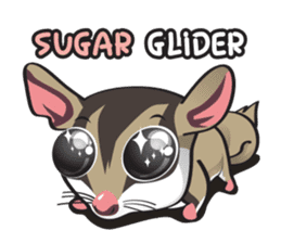 Sugar Glider sticker #1210922