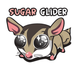 Sugar Glider sticker #1210922