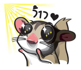 Sugar Glider sticker #1210924