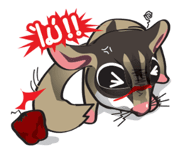 Sugar Glider sticker #1210925