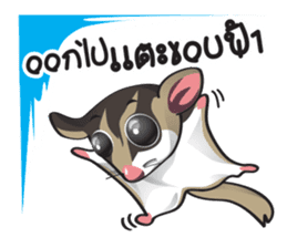 Sugar Glider sticker #1210926