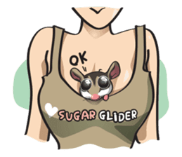 Sugar Glider sticker #1210928