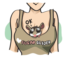 Sugar Glider sticker #1210928