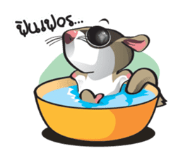 Sugar Glider sticker #1210930