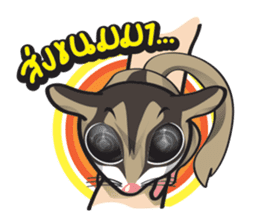 Sugar Glider sticker #1210931