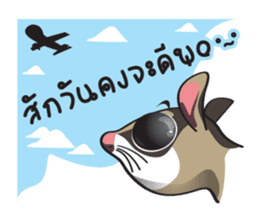 Sugar Glider sticker #1210937
