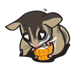 Sugar Glider sticker #1210938