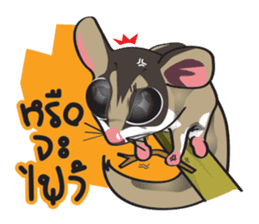 Sugar Glider sticker #1210939