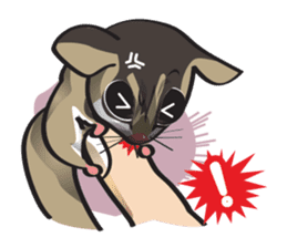 Sugar Glider sticker #1210940
