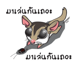 Sugar Glider sticker #1210946