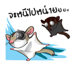 Sugar Glider sticker #1210948