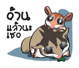 Sugar Glider sticker #1210949