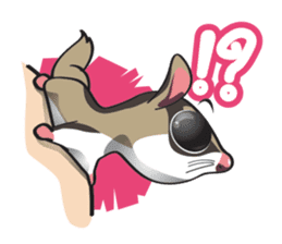 Sugar Glider sticker #1210953