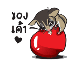 Sugar Glider sticker #1210955