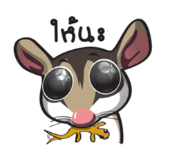 Sugar Glider sticker #1210956