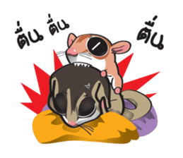 Sugar Glider sticker #1210958