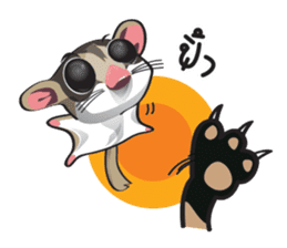 Sugar Glider sticker #1210959