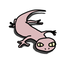 Gecko & Lizard sticker #1211844