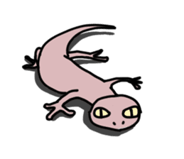 Gecko & Lizard sticker #1211844