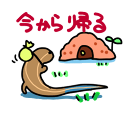 Gecko & Lizard sticker #1211876