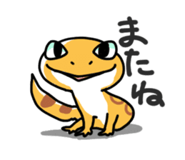 Gecko & Lizard sticker #1211881