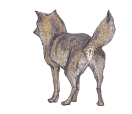 Wolf's song part 2 sticker #1213322