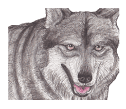 Wolf's song part 2 sticker #1213323