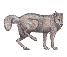 Wolf's song part 2 sticker #1213327