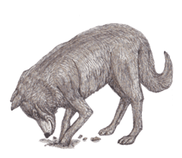 Wolf's song part 2 sticker #1213332