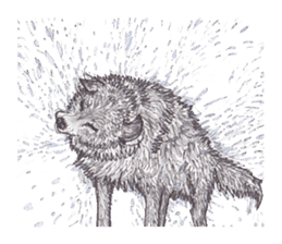 Wolf's song part 2 sticker #1213336