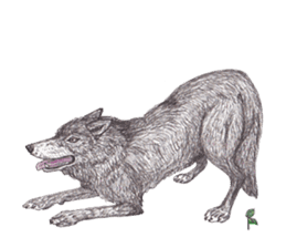 Wolf's song part 2 sticker #1213338