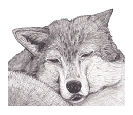 Wolf's song part 2 sticker #1213343