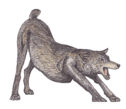 Wolf's song part 2 sticker #1213350