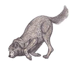 Wolf's song part 2 sticker #1213353