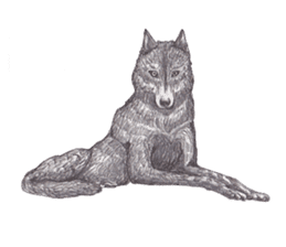 Wolf's song part 2 sticker #1213356