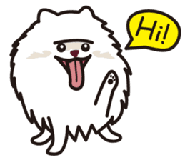 Cute Pomeranians sticker #1213962