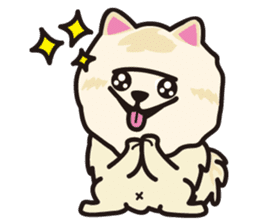 Cute Pomeranians sticker #1213984